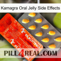 Kamagra Oral Jelly Side Effects new01